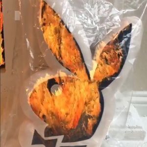 Vintage Playboy Authentic Pillow  🧸 🎟